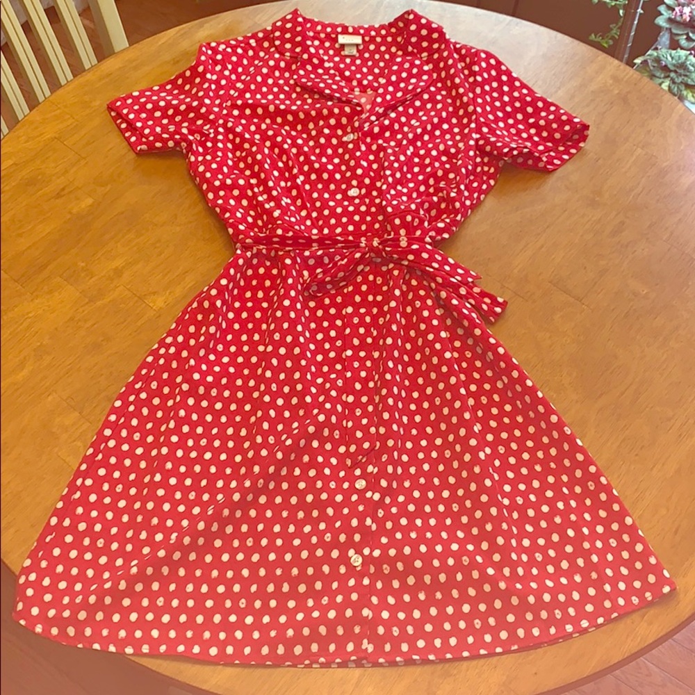 Women’s vintage inspired button down dress